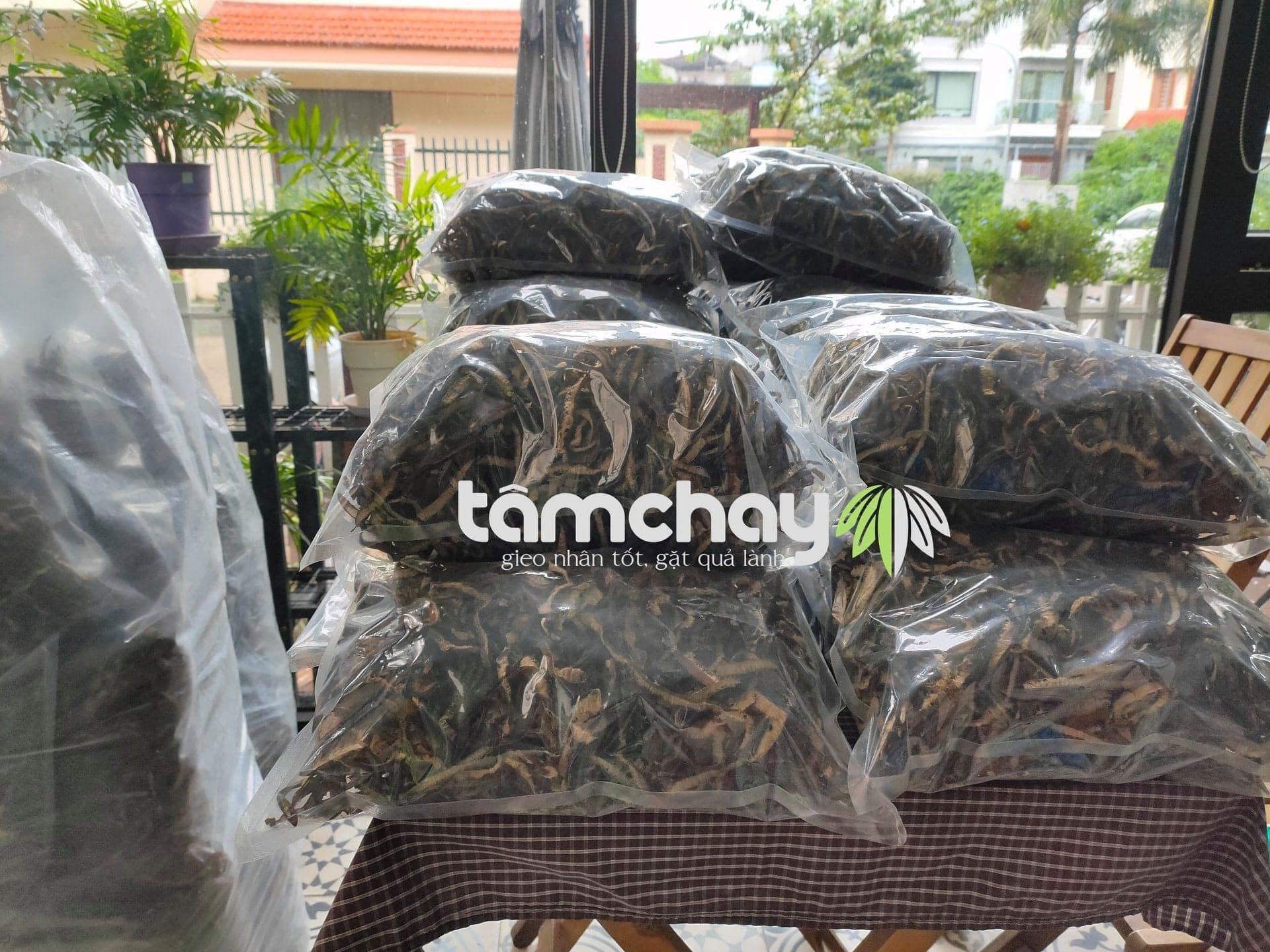 Tâm chay sỉ lẻ tảo xoắn chile thượng hạng.